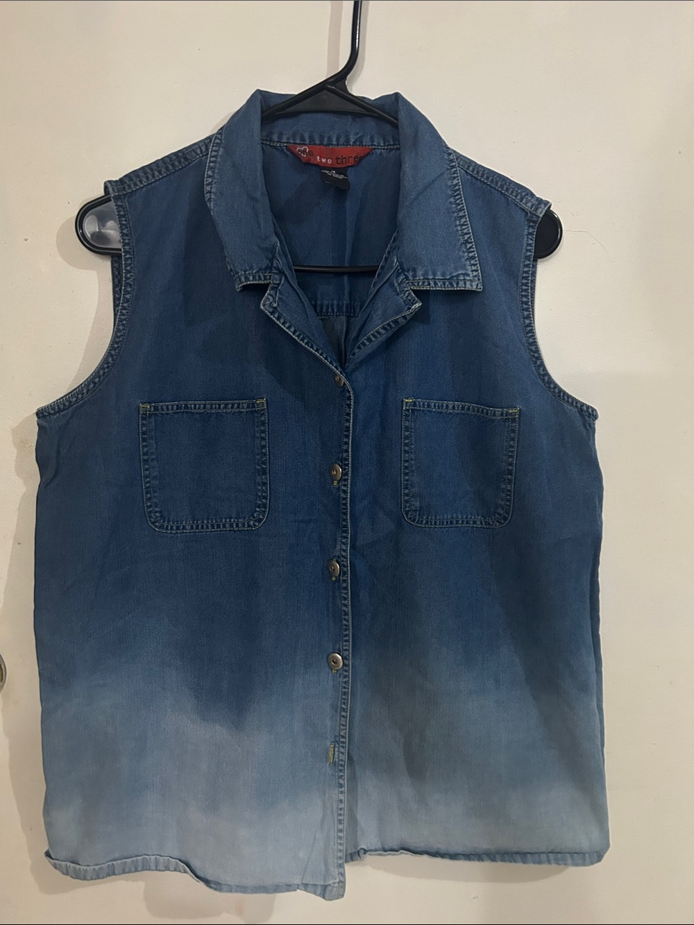 Live a Little Blue Ombre Sleeveless Denim Top